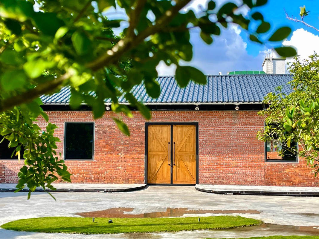 樹林大進化？網友驚見紅磚老厝竟有「水豚逛大街」！