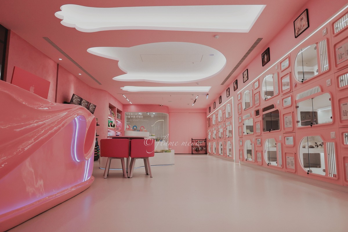 全台最大夢幻貓舍12/27開幕!台南「聖火貓貓教」打造700坪貓咪天堂