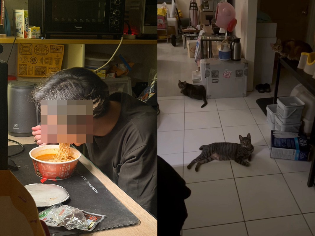 女網友半夜開門,驚見三隻貓咪守在門口,而男友則躲在餐桌前偷吃泡麵,逗趣畫面引發網友熱議。(圖/翻攝自 Threads)