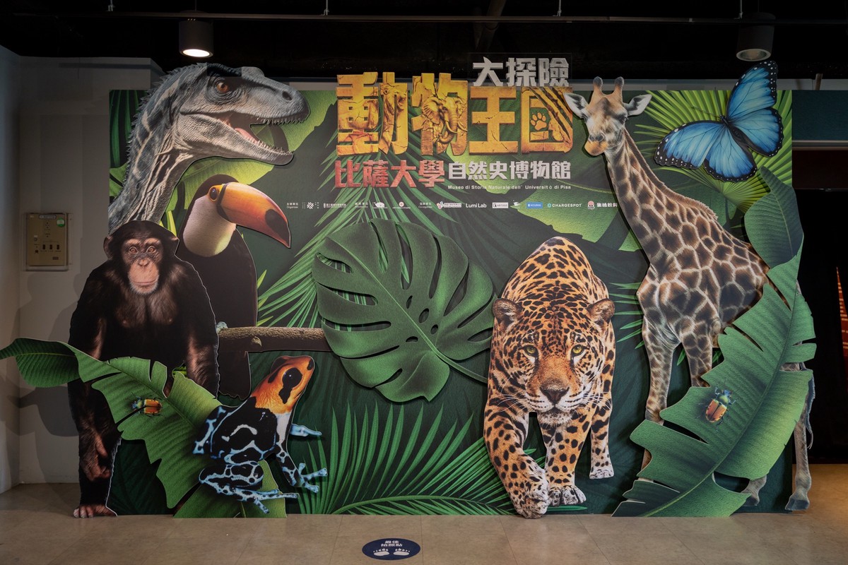 世界級自然史特展來台首展 《動物王國大探險展》結合ESG與沉浸體驗