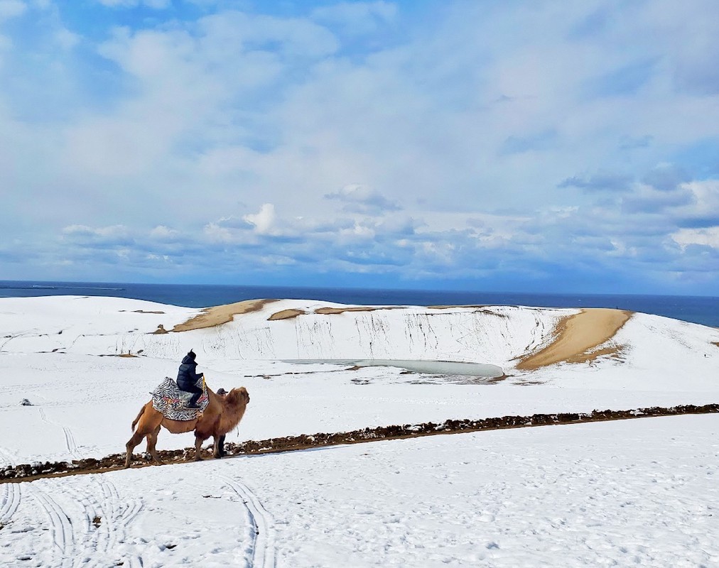 漫遊鳥取 享受一段從容的時光