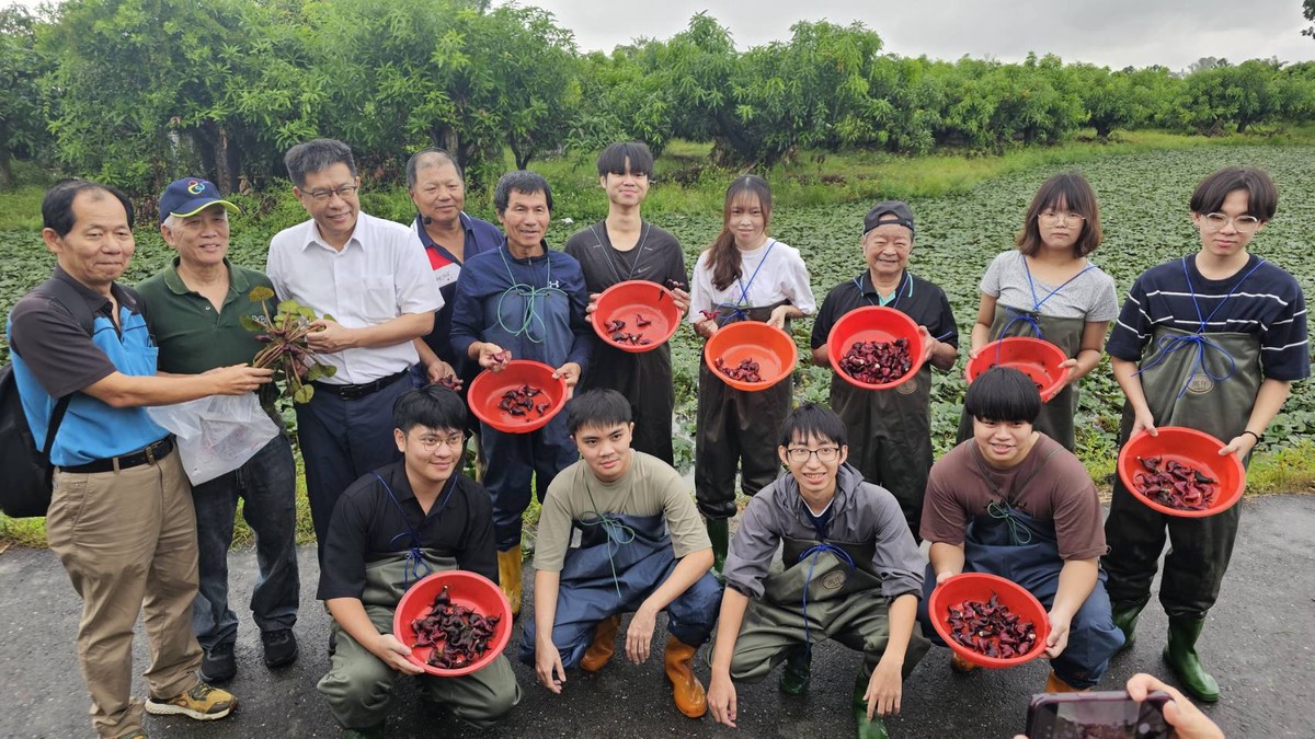從一方菱田看見農業新價值 成大攜手在地農場探索自然解方