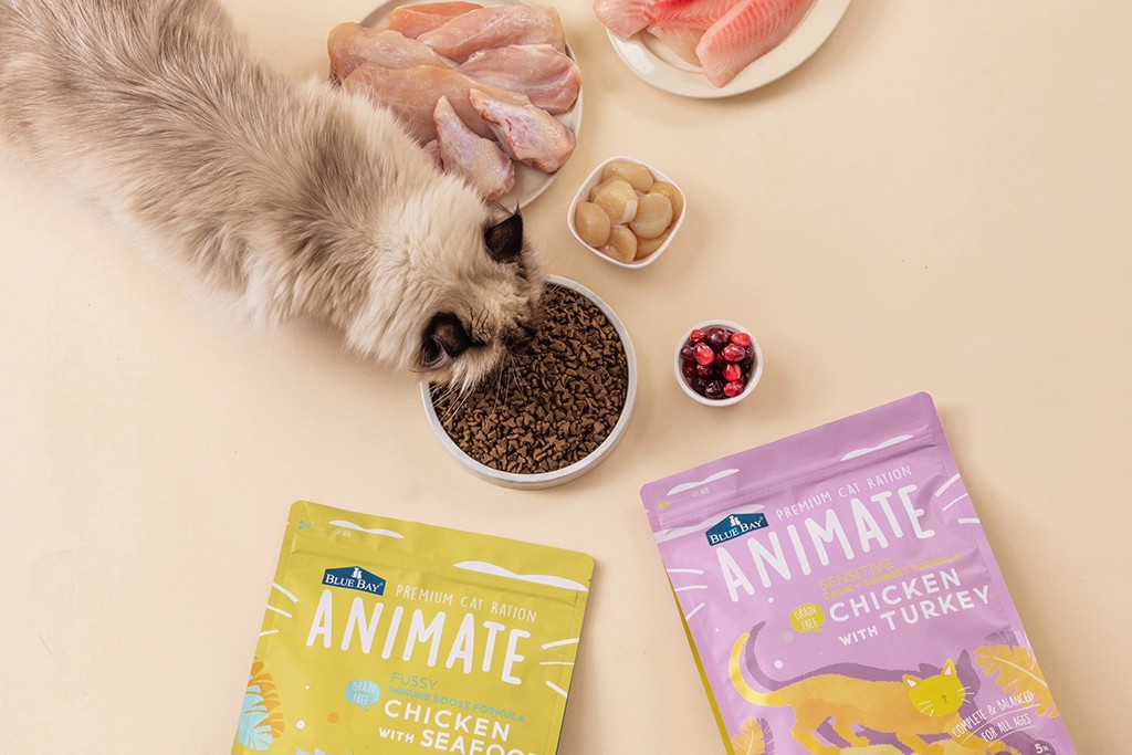 倍力寵物犬貓糧 雙雙通過AAFCO餵食測試 倍力寵物犬貓糧 雙雙通過AAFCO餵食測試