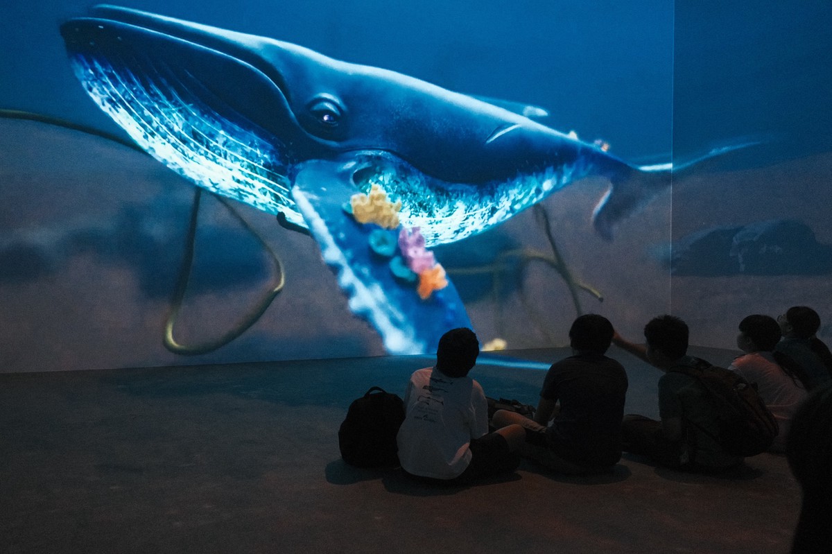 (圖/國立海洋科技博物館提供)
