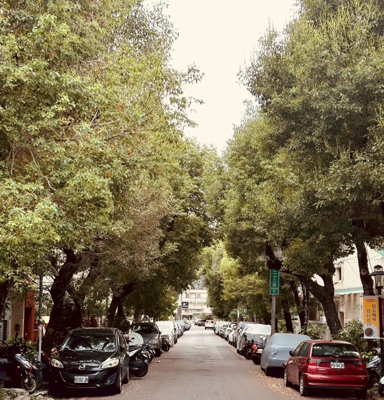 台中最夯尋寶街弄！精誠22街的慢步散策，一步一風景