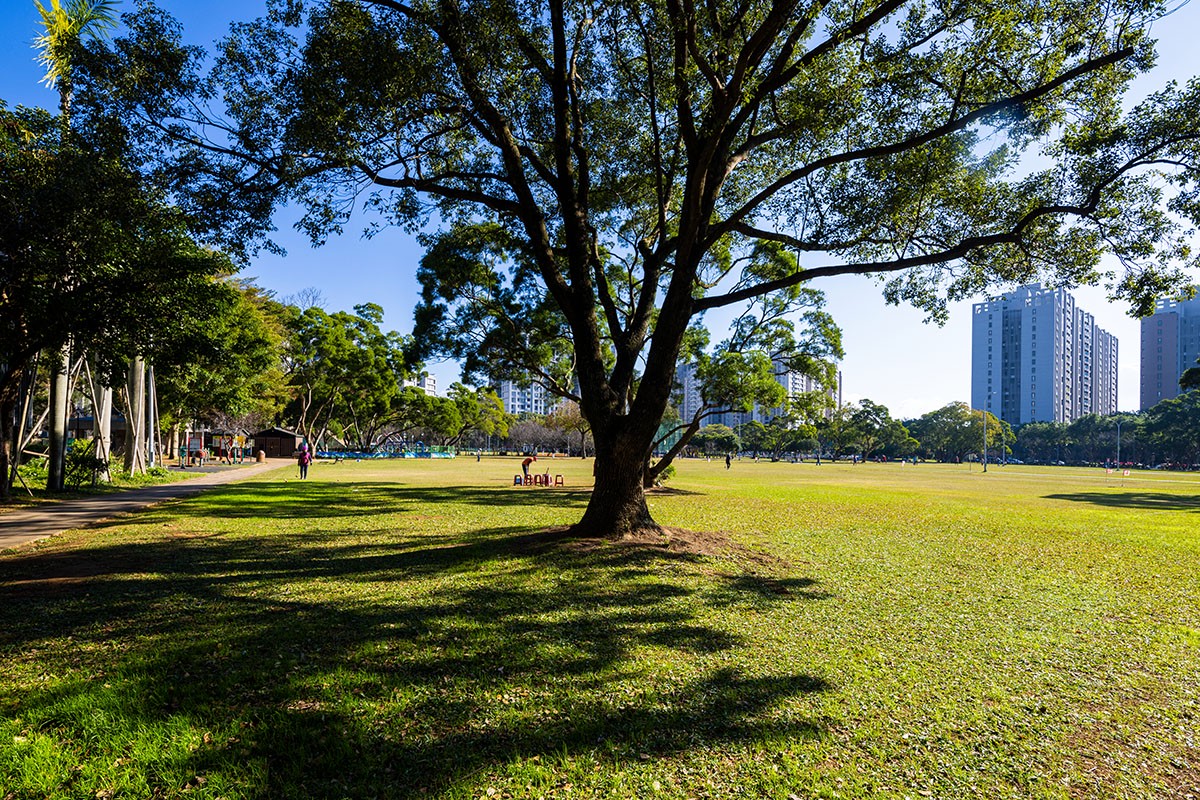 67b28982 848a 4568 bc9b d7106f7e4b85 177632637466903354905775967