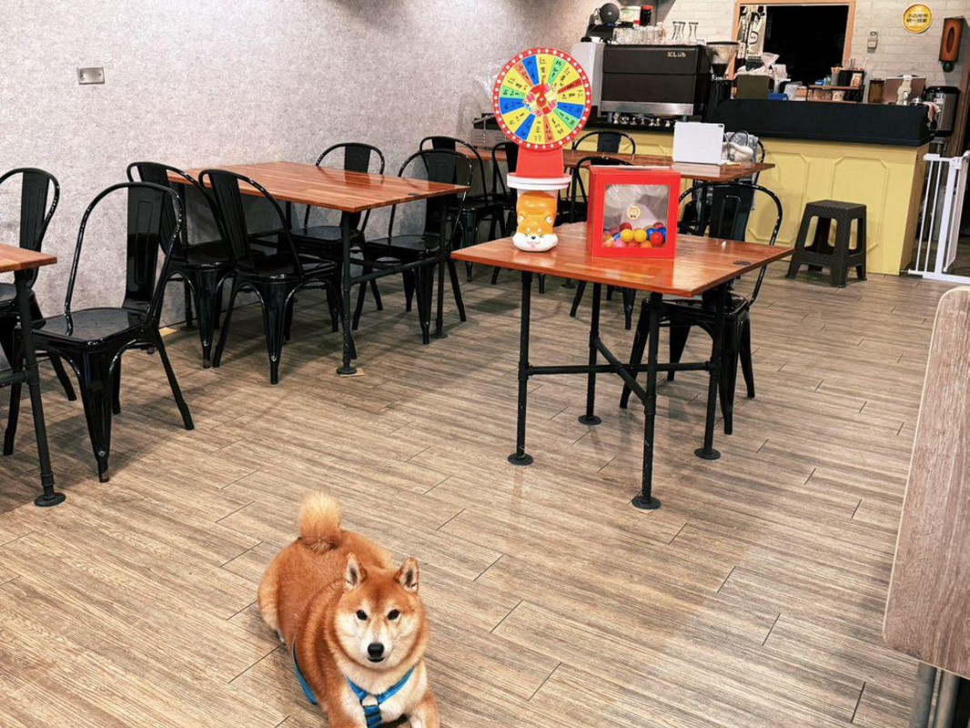 ebbf27a7 d20e 4118 9978 8fcbad918de6 177666401353908357102173634