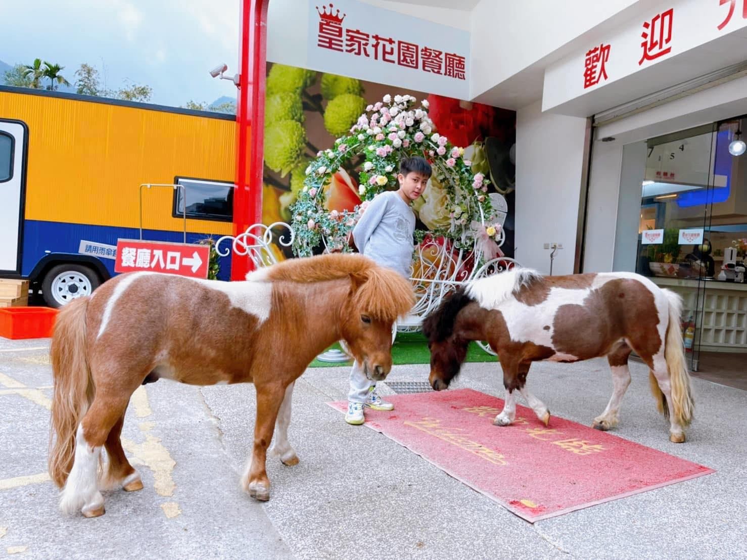 新聞圖片