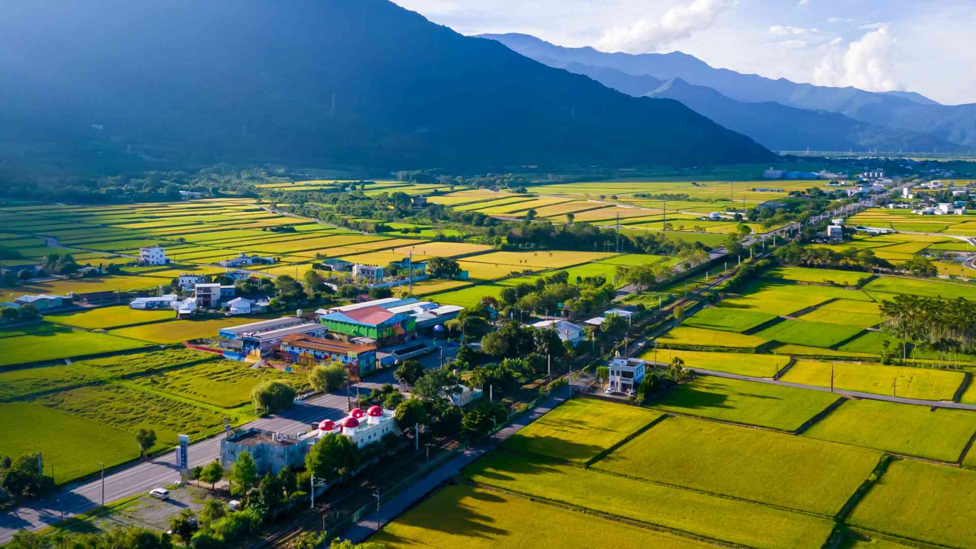 即刻報名OKRUN愛在關山  最高獨得一年份關山米再抽捷安特